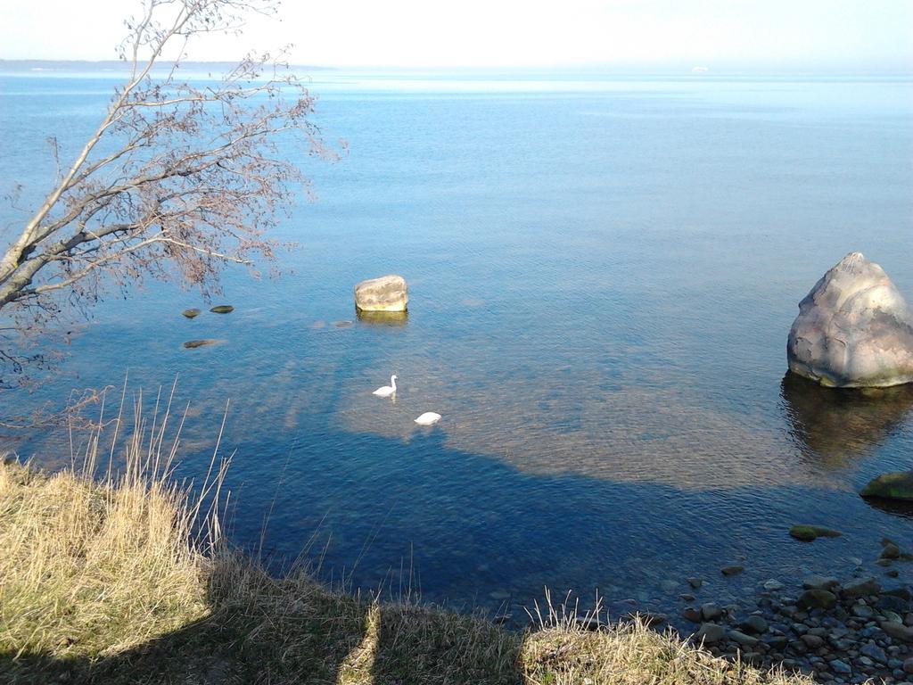 Oti Guesthouse Tallinn Dış mekan fotoğraf